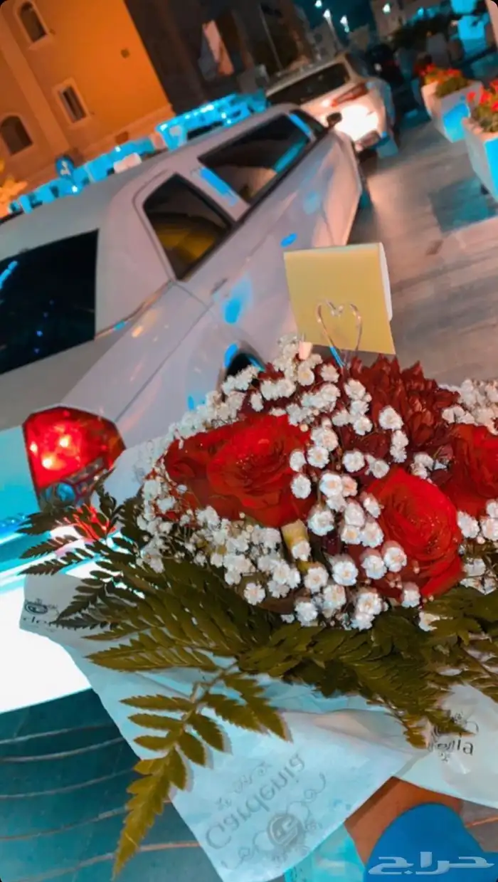 ليموزين vip للسيارات الطويله 4