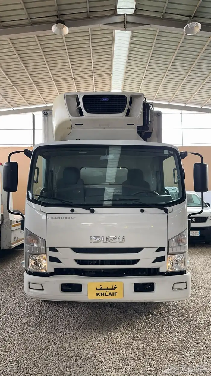 دينا ايسوزو 2021 0