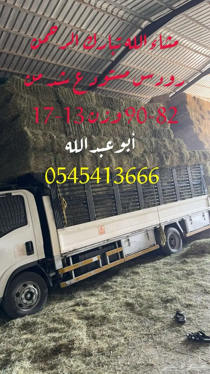 اعلاف رودس 0