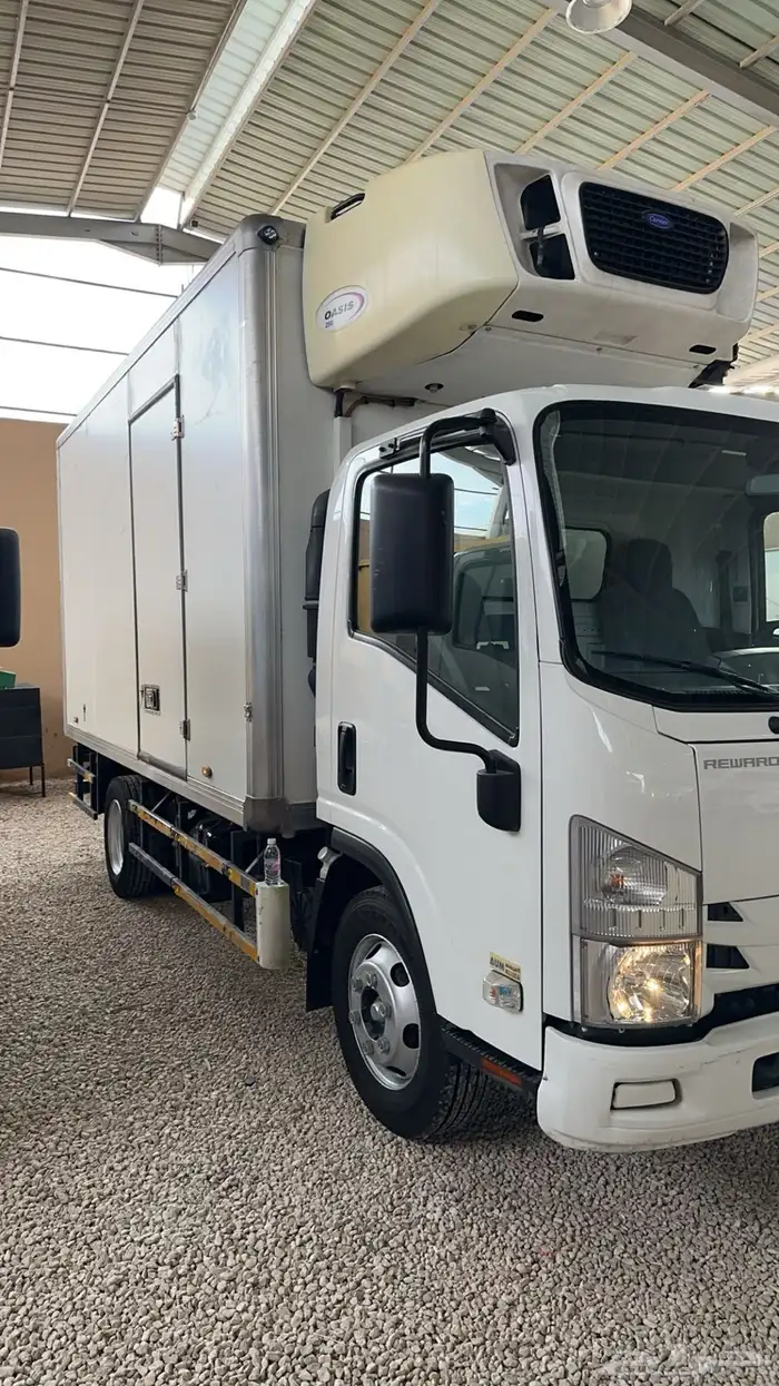 دينا ايسوزو 2021 1