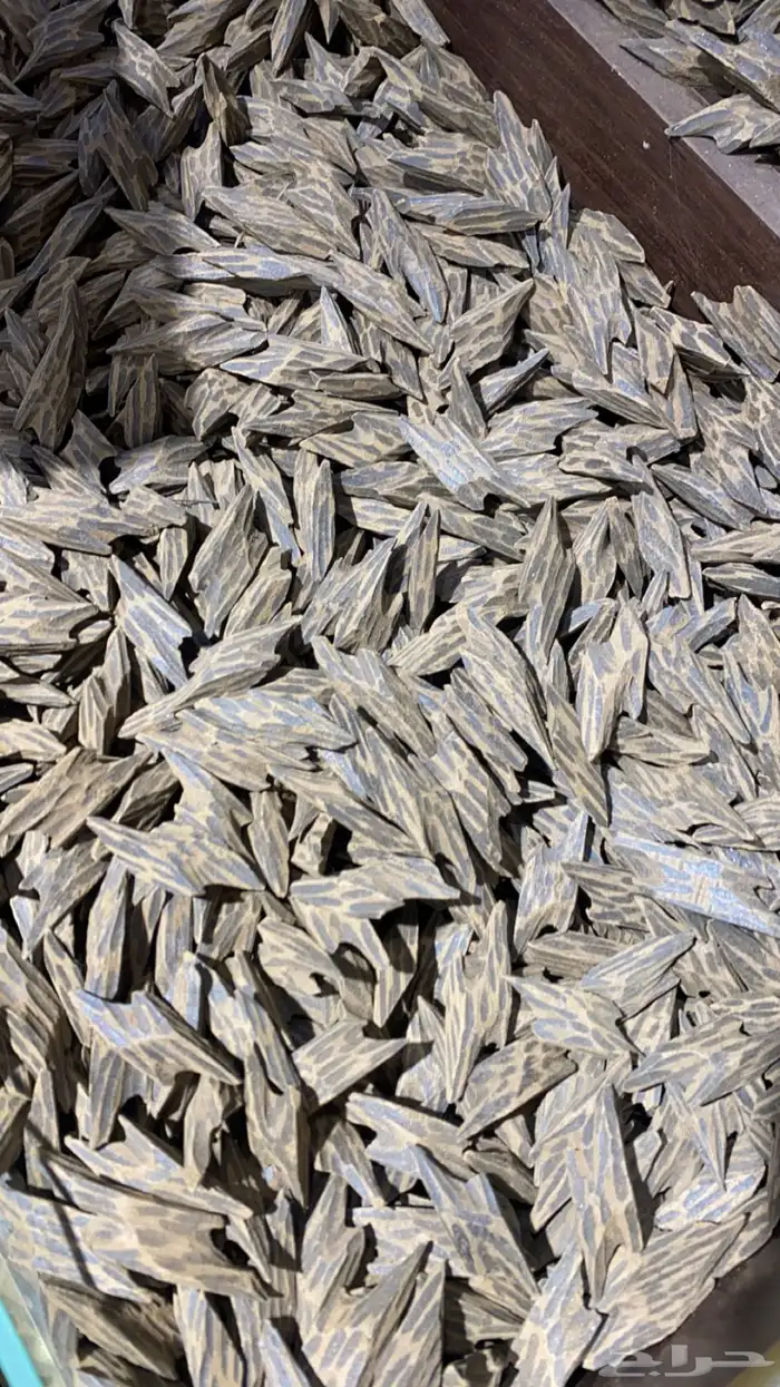 تايقر فاخر رقم 1 2