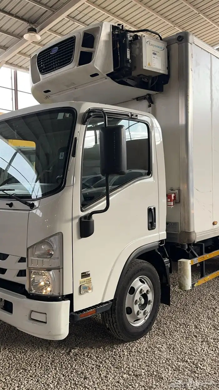 دينا ايسوزو 2021 2