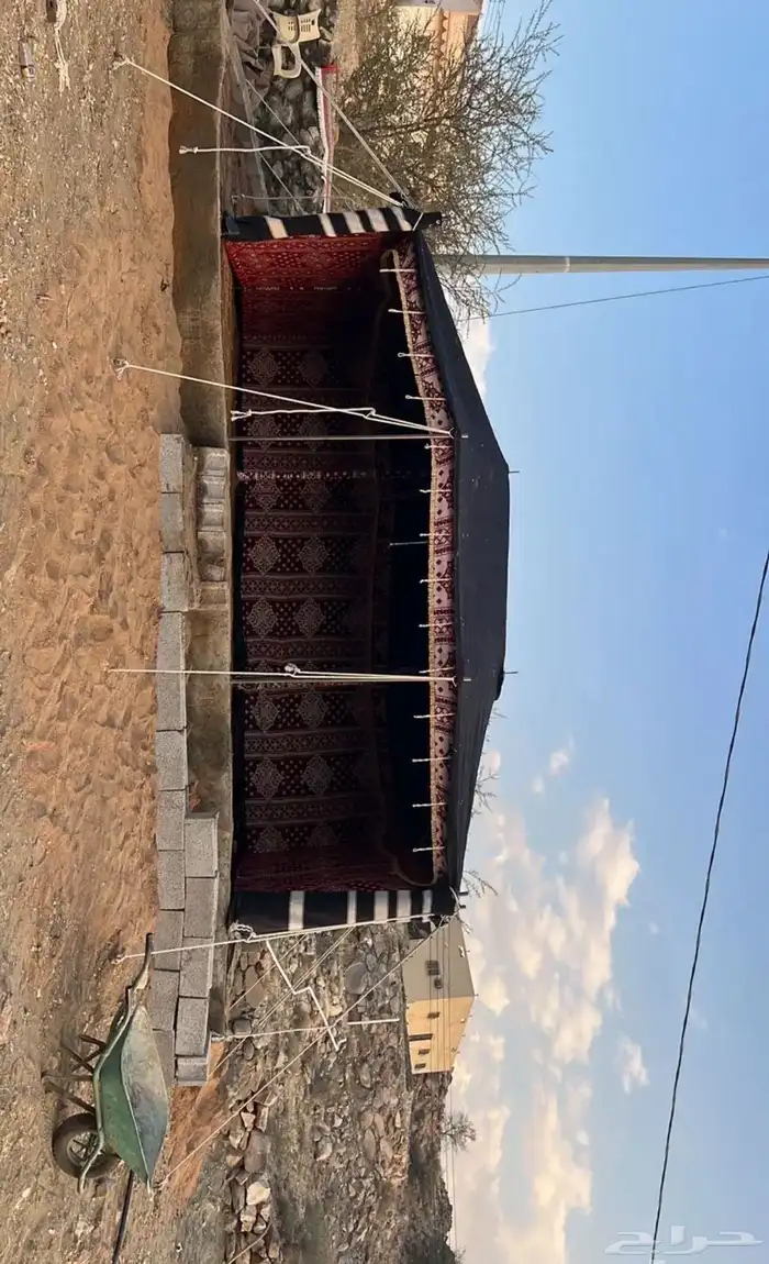 بيوت شعر وخيام 4