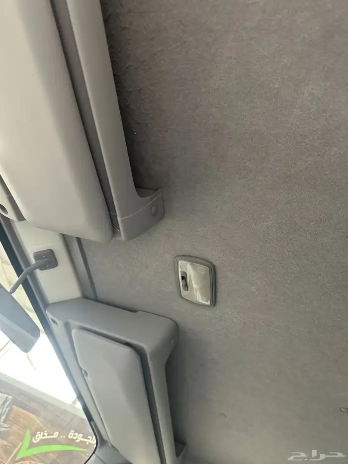 دينا ايسوزو 2021 6