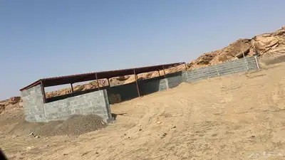 مزرعه شرق بريده صكين 120 دينمو بير عمق 600 متر حد 350 الف 2
