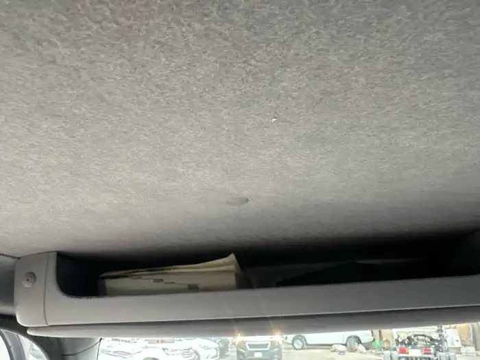 دينا ايسوزو 2021 5