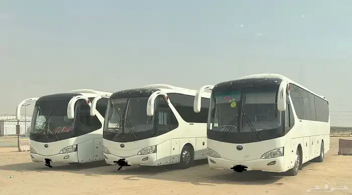 باصات للايجار الشهري 1