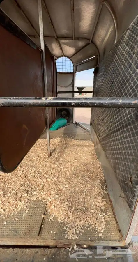 عربة خيل 0