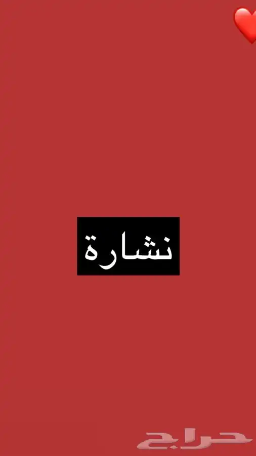 نشارة خشب 1200 كيس نظيفة 3