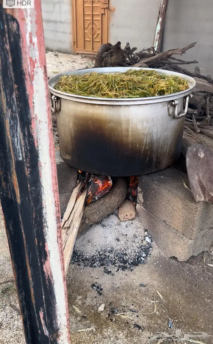 سويقة شعير جديده قبل اسبوعين 5
