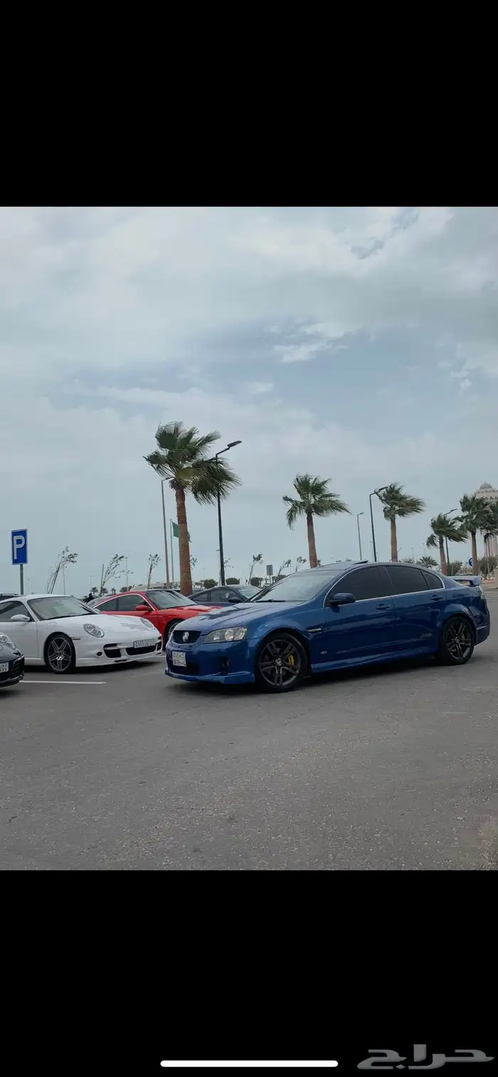 لومينا 2009 ss 12