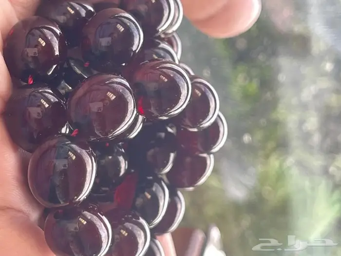 تم البيع .. سبحة فاتوران تركي 5