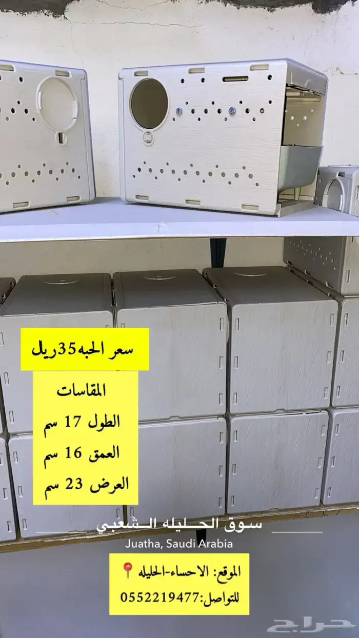بيضات طيور الزينه 1