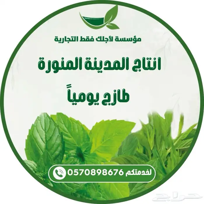 طباعه اكواب استيكرات بروشورات فولدرات هوية تجاريه 17
