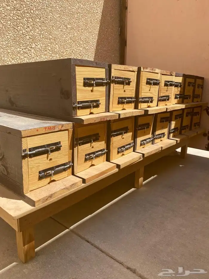 خلايا نحل اعواد فارغة جديدة 0