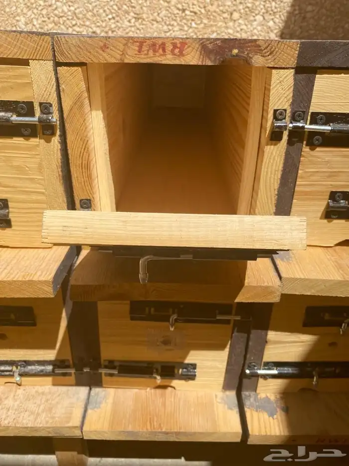 خلايا نحل اعواد فارغة جديدة 1