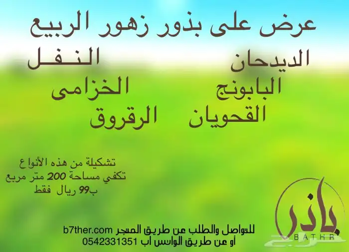 عندك ارض وتبي تزرعها من الزهور الربيعية .. تفضل 2