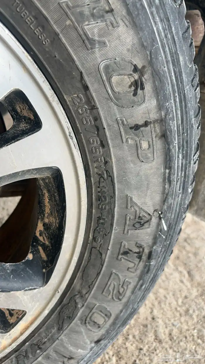 جنوط نظيفة راكبة على شاص 1