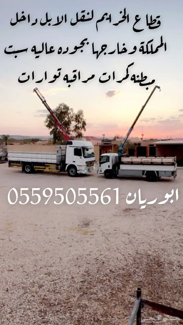 قطاع الخرايم لنقل الابل داخل المملكه وخارجها 0