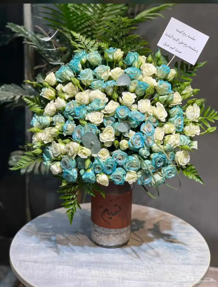 مندوب 0