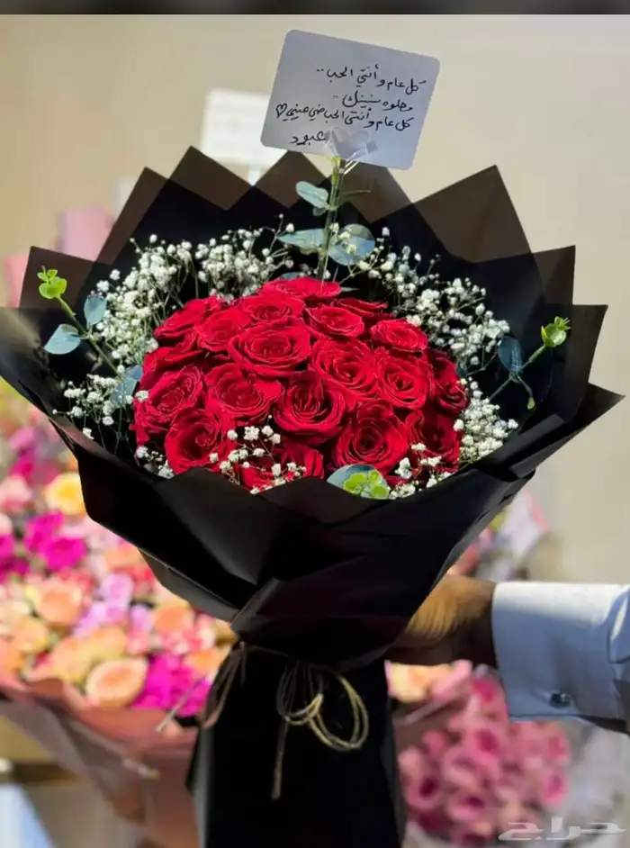 مندوب 3