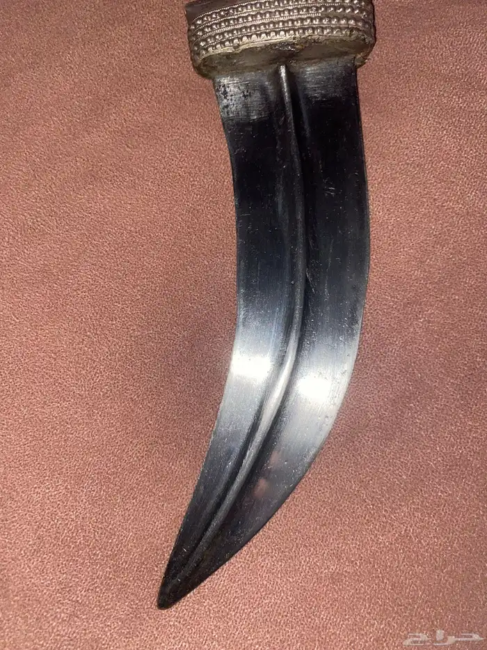 جنبيه حضرمي غصان نادر عمرها مايقارب 160سنه 1