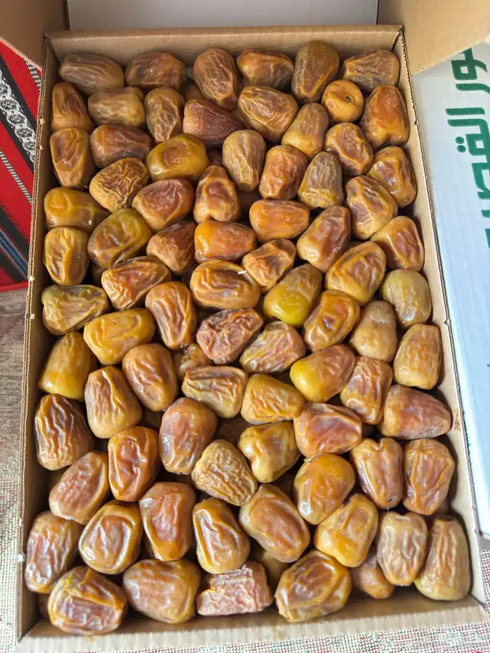 تمر سكري مفتل حبه كبيره اصفر كميه محدوده 0