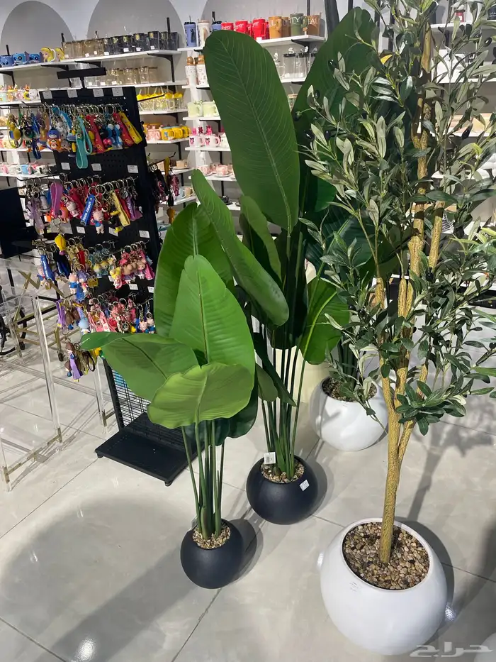 لوحات جدارية 12