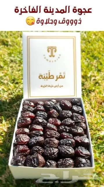 ولبدنك عليك حقا 6