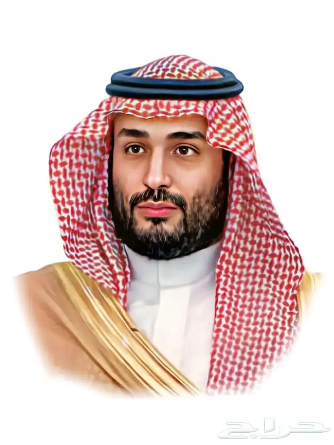 رسام صور اليوم الوطني 1