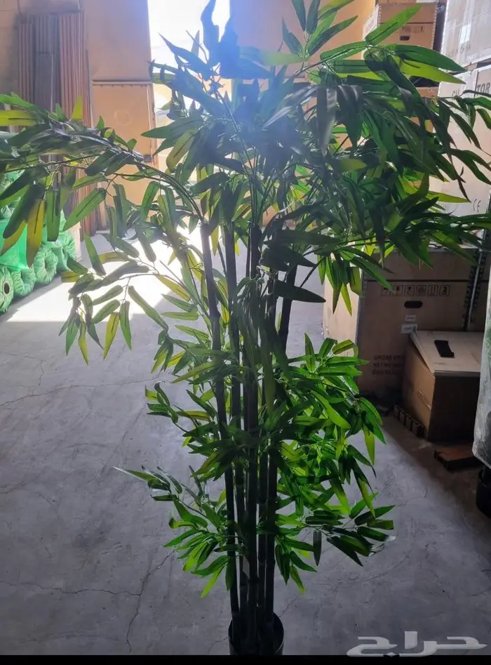 عروض العيد الوطني على الشجر الصناعي 0