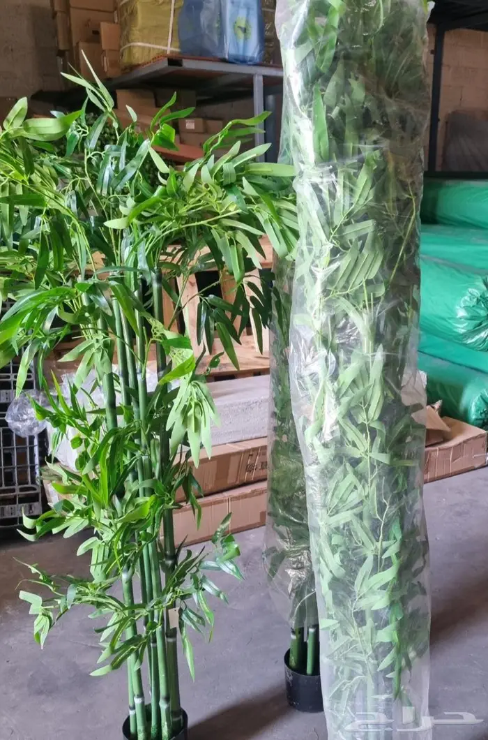 عروض العيد الوطني على الشجر الصناعي 5