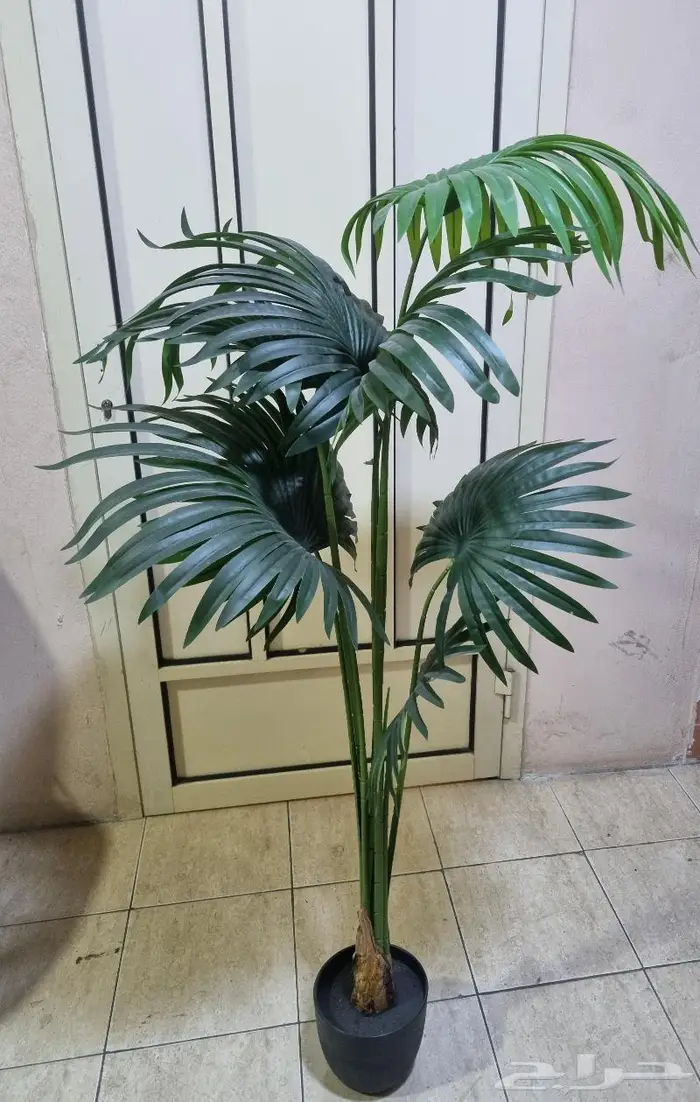 عروض العيد الوطني على الشجر الصناعي 4