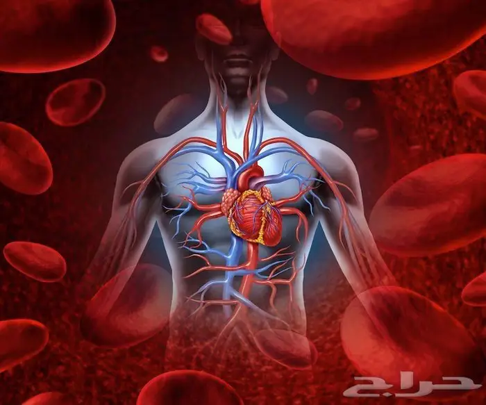 دروس لطلبة كليات الطب 5