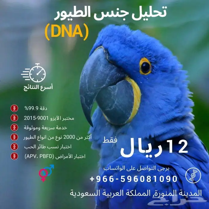 تحليلDNA لطيور- النتيجة خلال اسبوعين 1