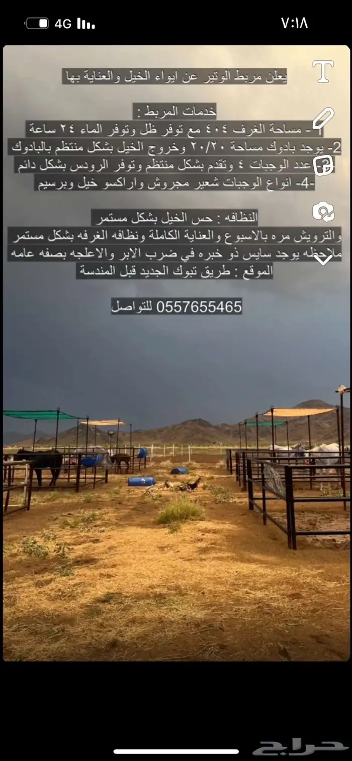 ايواء خيل تدريب ركوب 0