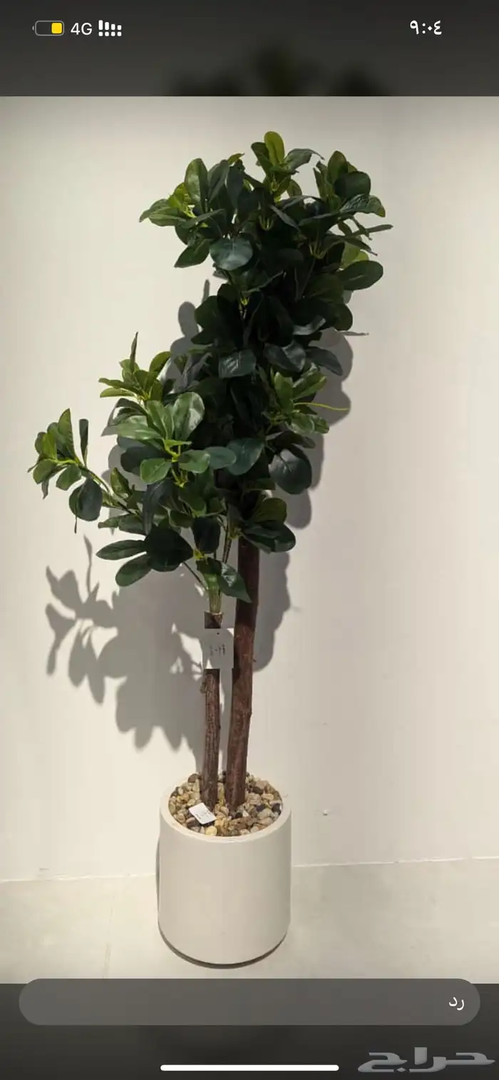 لوحات جدارية 16