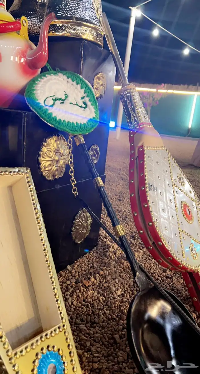سيارة رحالات برية فاخرة وشغل يجمل 11