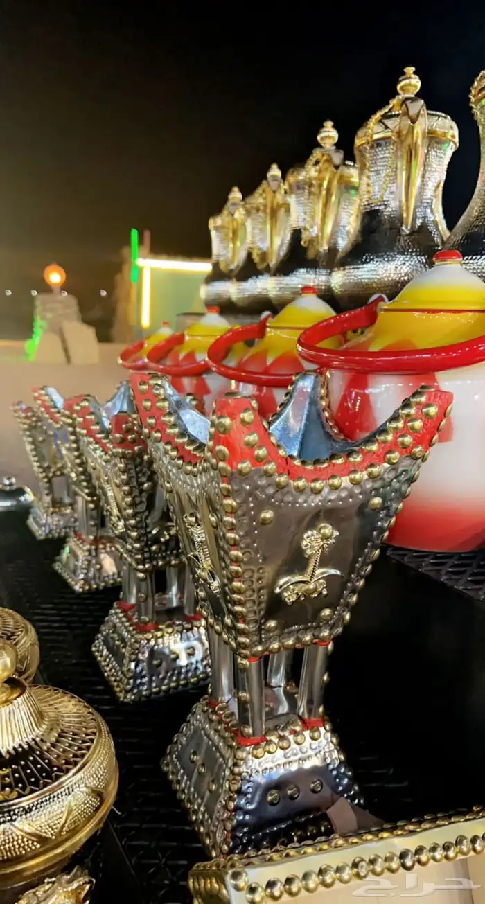 سيارة رحالات برية فاخرة وشغل يجمل 8