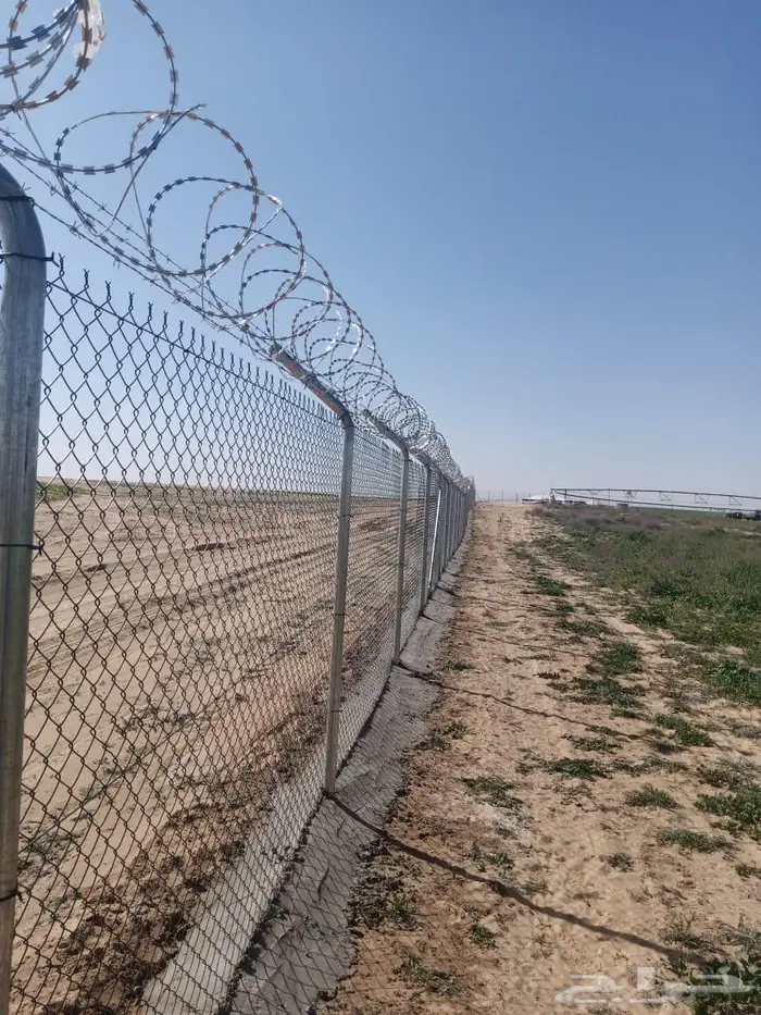 مقاول شبوك 0