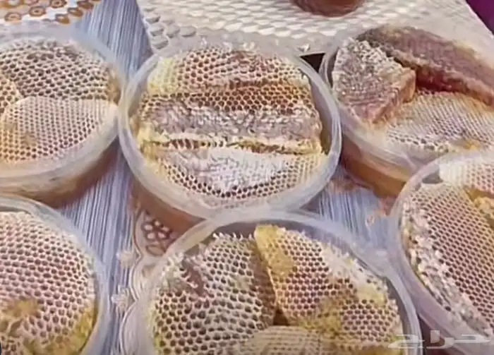 عسل من مناحلي سدر سمر طلح ضهيانه قتاده غذاء ملكات مضمون 7