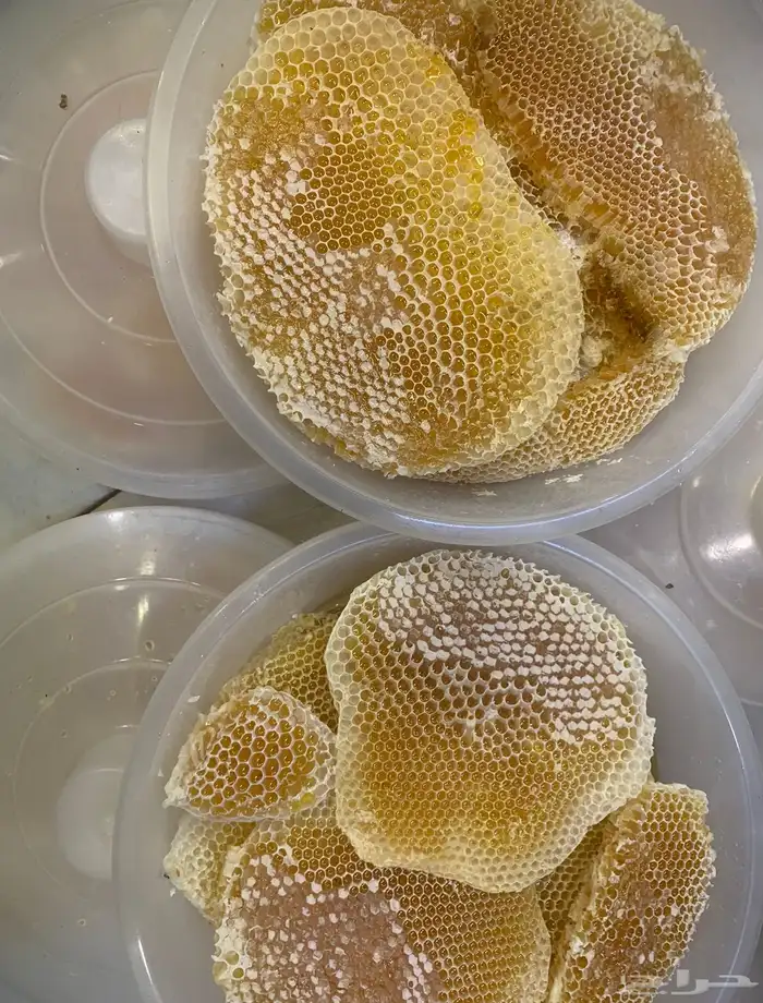 عسل من مناحلي سدر سمر طلح ضهيانه قتاده غذاء ملكات مضمون 4