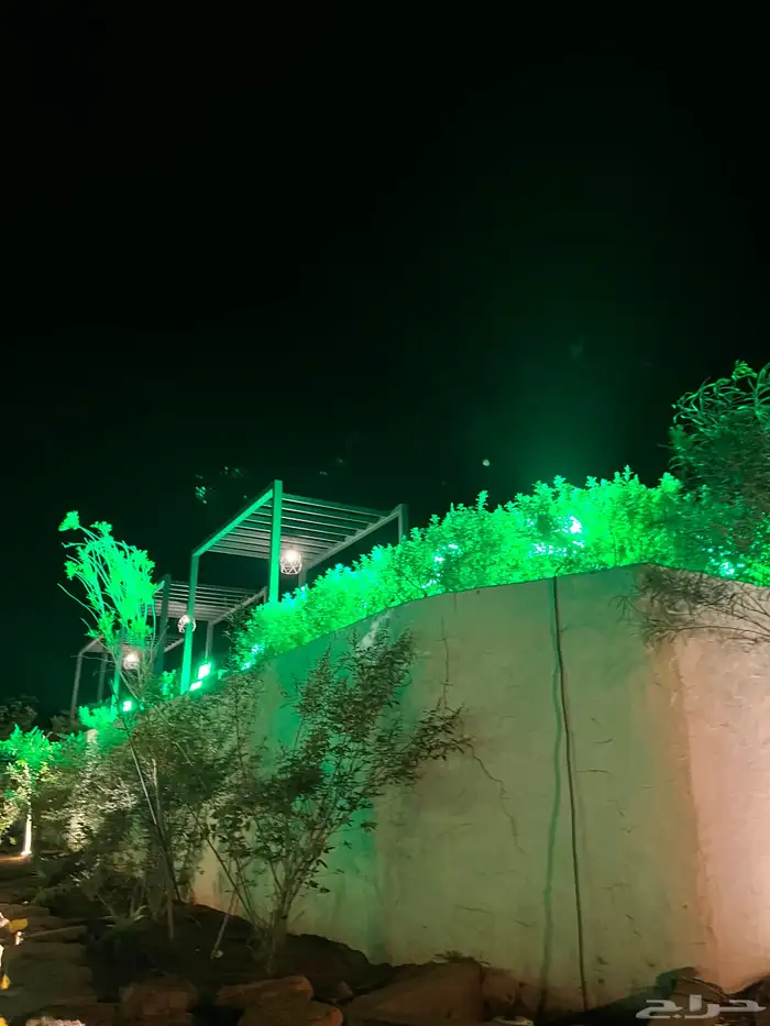 اضاءات اليوم الوطني 1