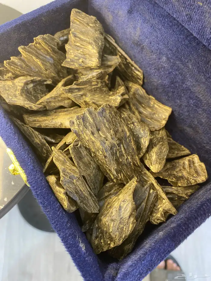 عود كلمنتان دبل سوبر بيور طبيعي محسن فاخر 1