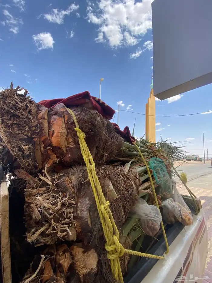 فسايل خلاص طيبه 4