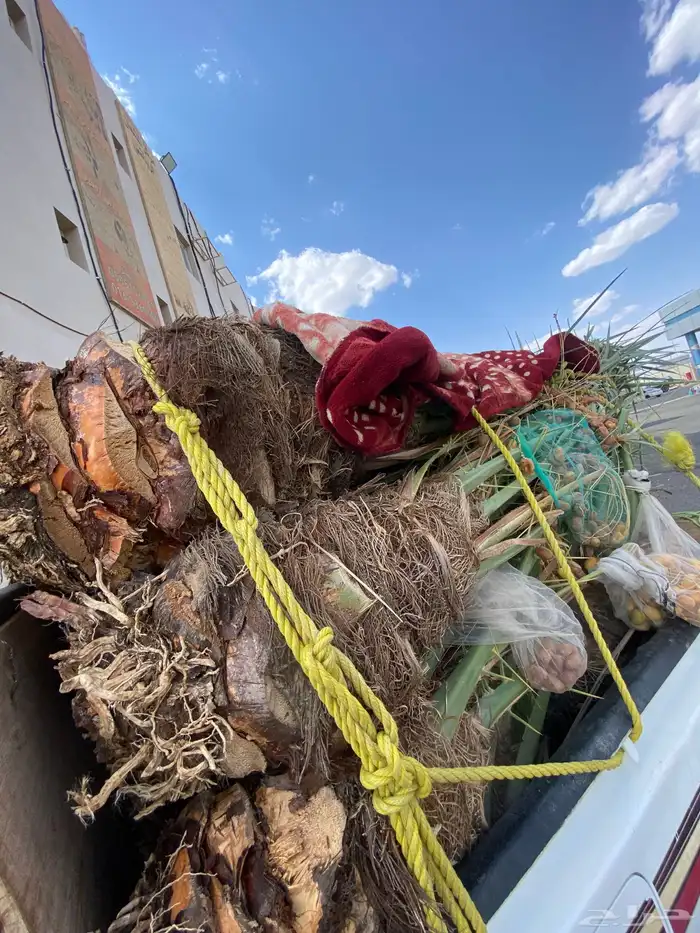 فسايل خلاص طيبه 5