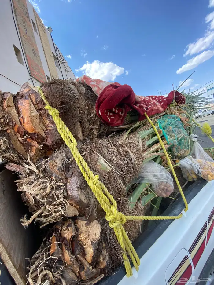 فسايل خلاص طيبه 0