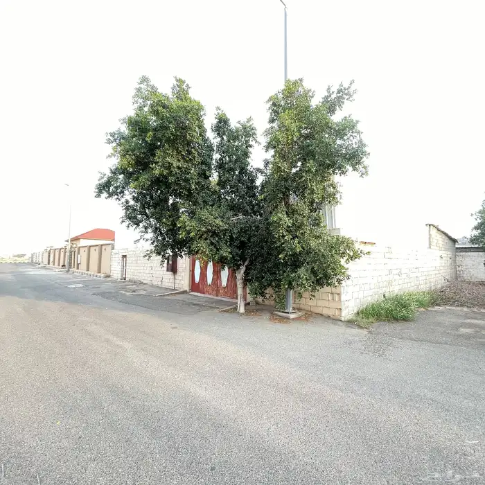 بيت شعبي للبيع والايجار بالسيل الصغير 1