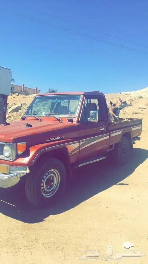 شاص 92.تم البيع 5