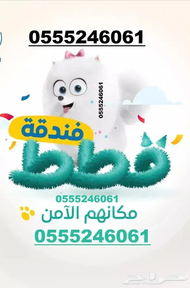 فندقة قطط وقت سفركم 6061 24 0555 طريق الملك عبدالعزيز 2